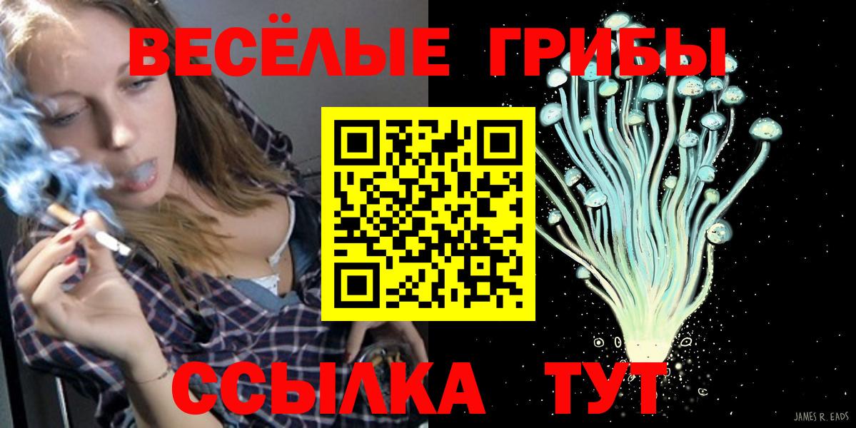 Псилоцибиновые грибы ЛСД Тихорецк